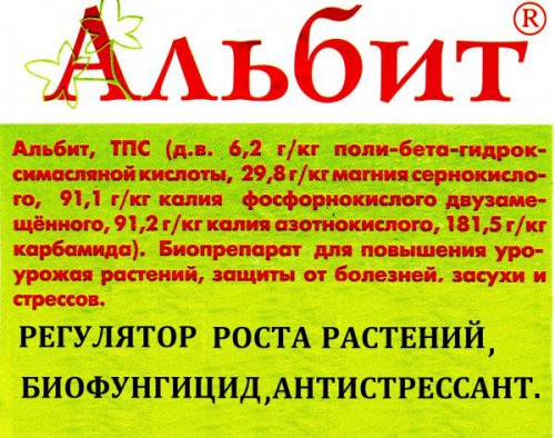 Альбит