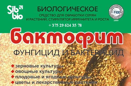 Бактофит
