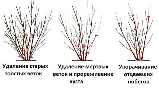 Обрезка