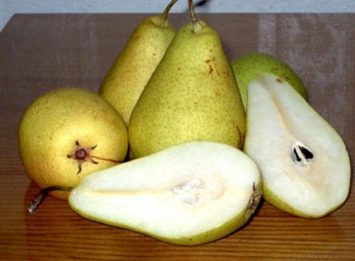 Груши сорта Кюре