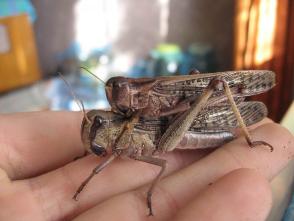 Фото 4