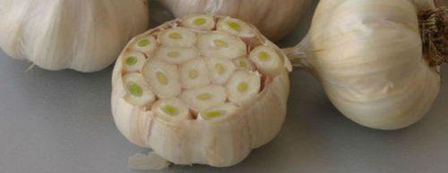 Яровой чеснок