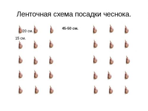 Ленточная посадка