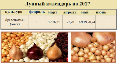 Лунный календарь 2017