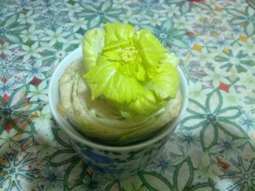 Кочерыжка пекинской капусты