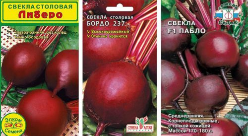 Популярные сорта