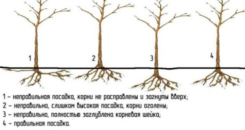 Правильное размещение