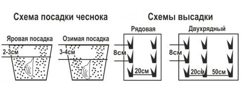 Схема посадки