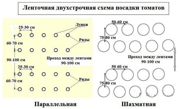 Схема посадки
