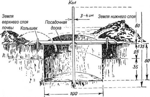 Устройство ямы