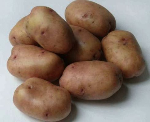 Жуковский ранний