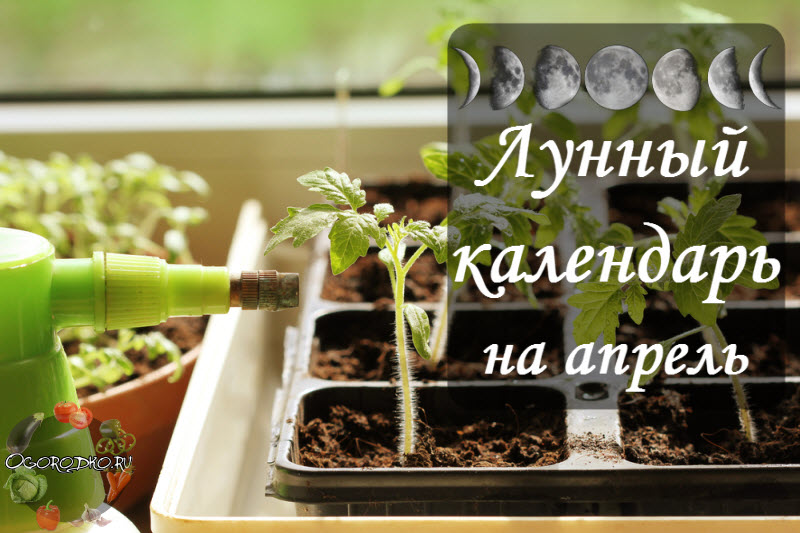 Lunnyy posevnoy kalendar' na aprel' 2017 goda