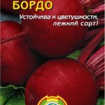 Бордо