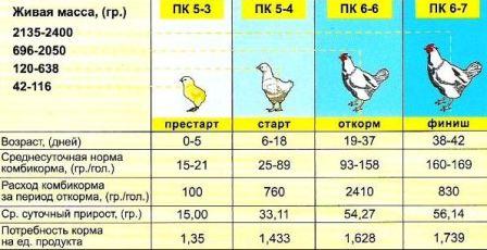 Чем кормить бройлеров, таблица