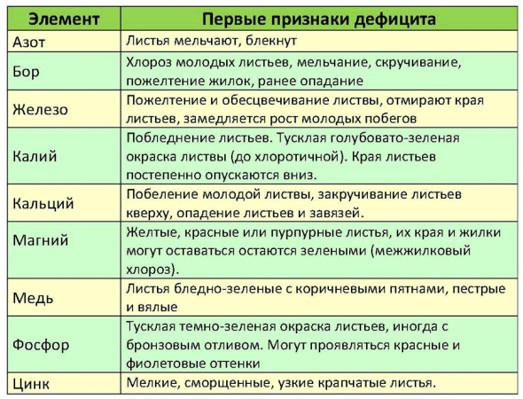 Главные симптомы дефицита микроэлементов