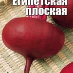 Египетская плоская