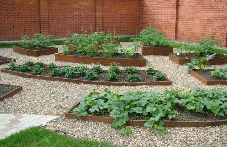 Размеры грядок на даче