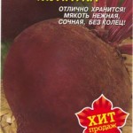 Мулатка