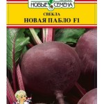Пабло F1