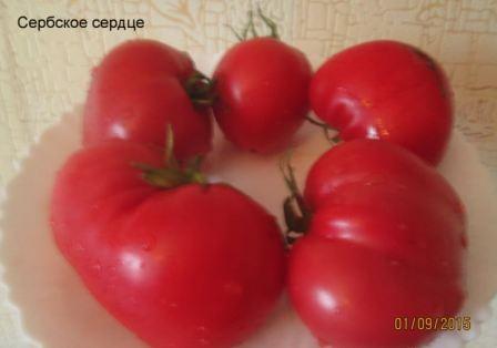 Томат сербское сердце