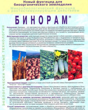 бинорам фото