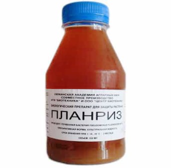 Планриз биопрепарат для картофеля