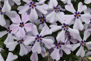 200