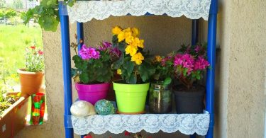 Сад на балконе