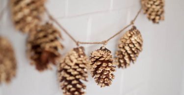 Поделки для дачи из шишек