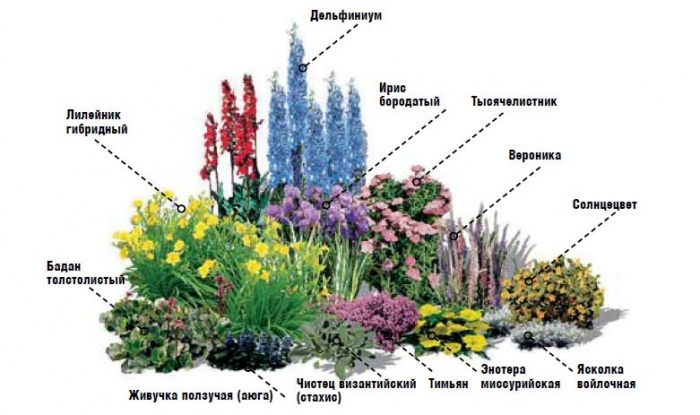 Миксбордер