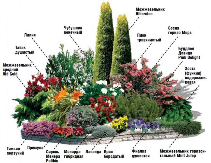 Миксбордер