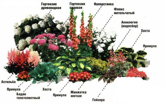 Миксбордер