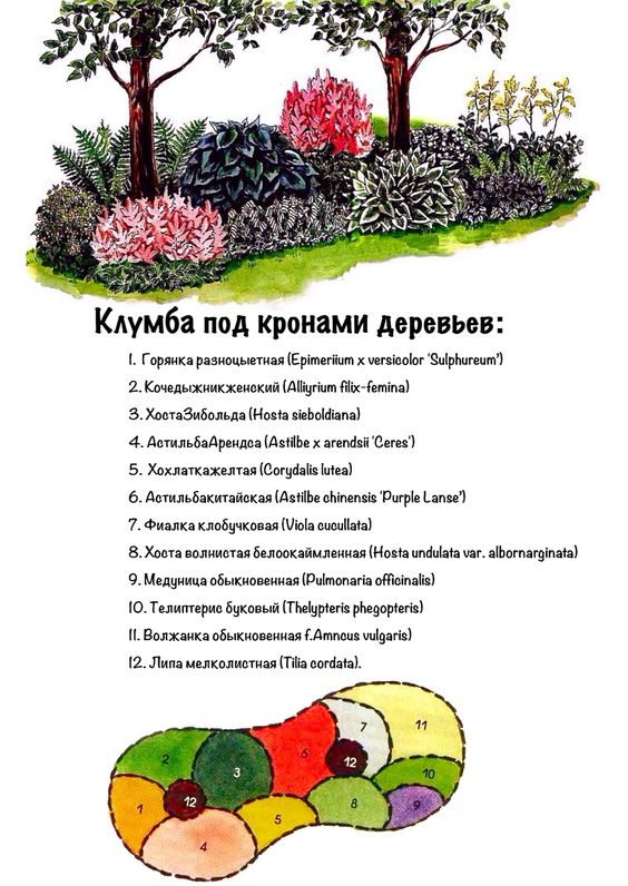 Миксбордеры в ландшафтном дизайне: примеры на схемах и фото