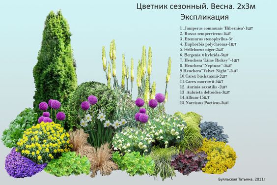 Миксбордер