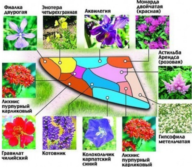 Миксбордеры в ландшафтном дизайне: примеры на схемах и фото