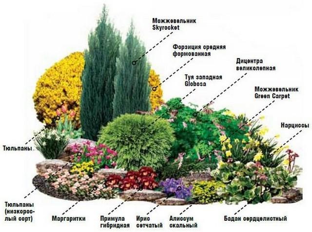 Миксбордер