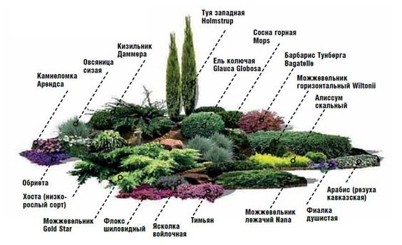 Миксбордер