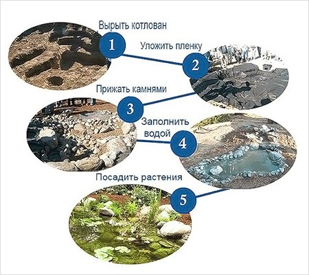 Вопросы по обустройству пруда