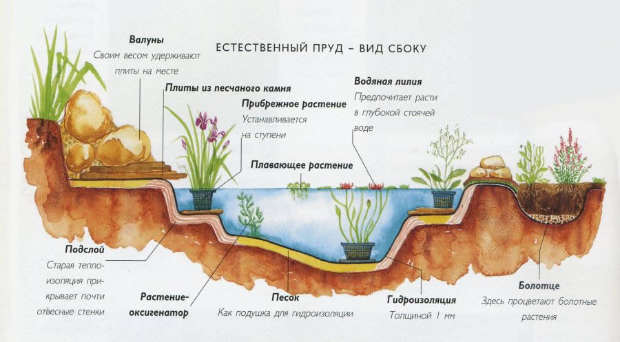 Вопросы по обустройству пруда