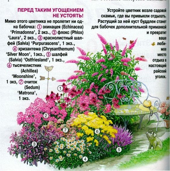 Красивый палисадник перед домом своими руками: сам себе дизайнер