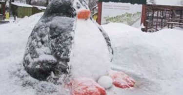 Скульптуры из снега