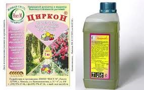 Удобрения для комнатных цветов в домашних условиях