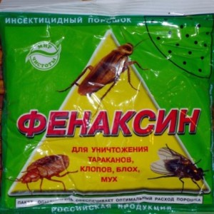 Избавляемся от муравьев на участке и в доме