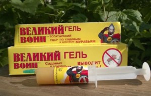 Избавляемся от муравьев на участке и в доме