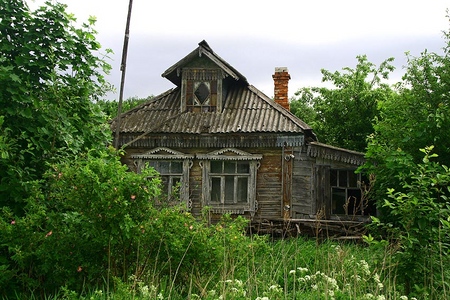 Как привести в порядок заброшенный участок