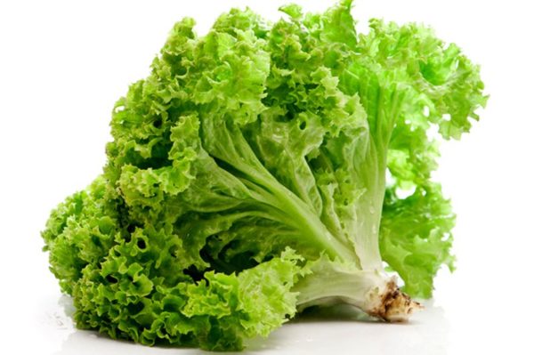 Салат листовой