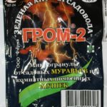 Гром-2