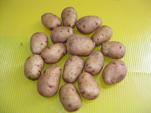 Картофель Аврора