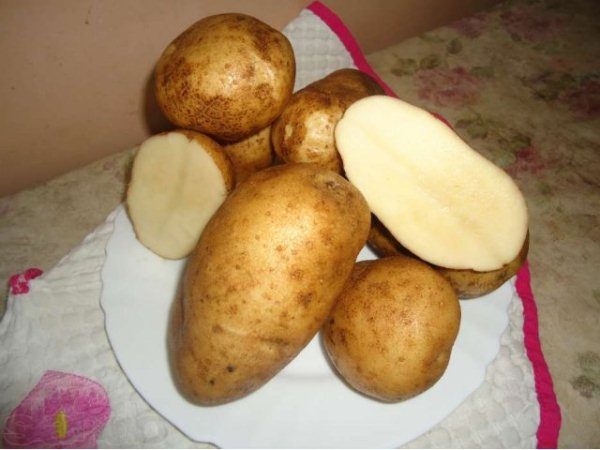 Картофель Удача