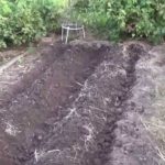Посадка картофеля в гребни